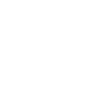 Icon Insektenschutz